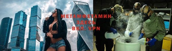 индика Новозыбков