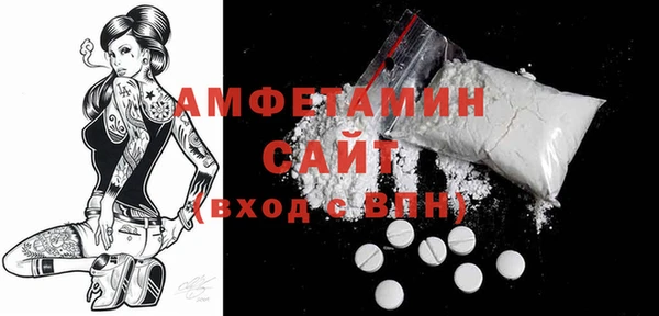 индика Новозыбков