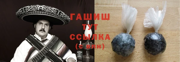 индика Новозыбков