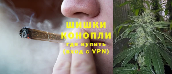 индика Новозыбков