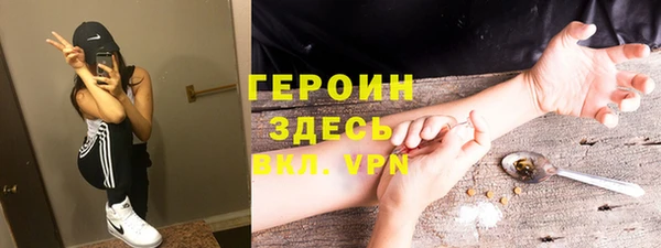 индика Новозыбков