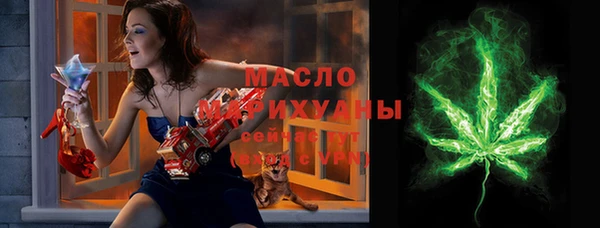 индика Новозыбков