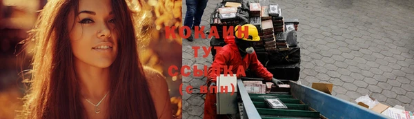 крисы Новокубанск
