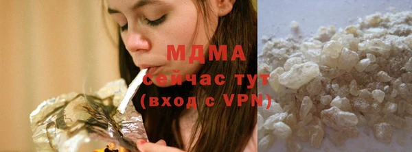 индика Новозыбков