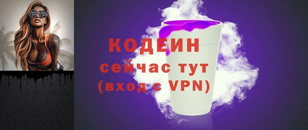 индика Новозыбков
