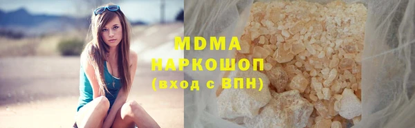 индика Новозыбков