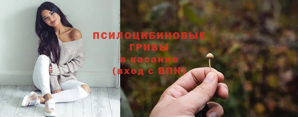 крисы Новокубанск