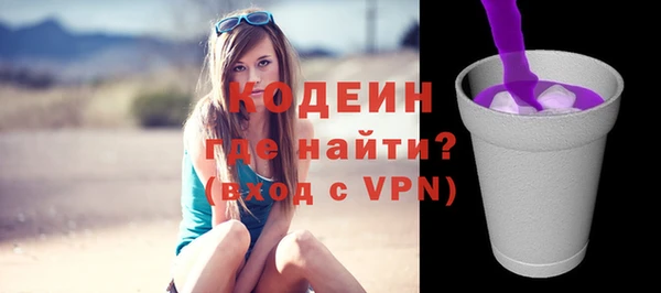 индика Новозыбков