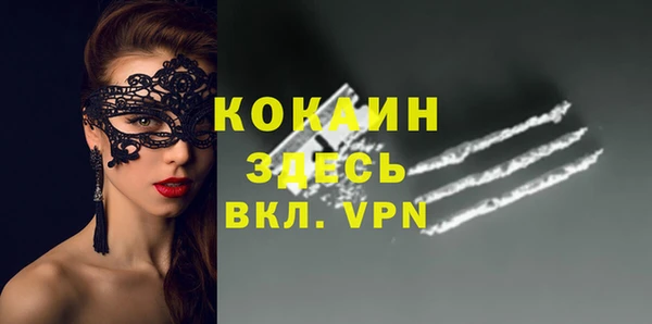 крисы Новокубанск