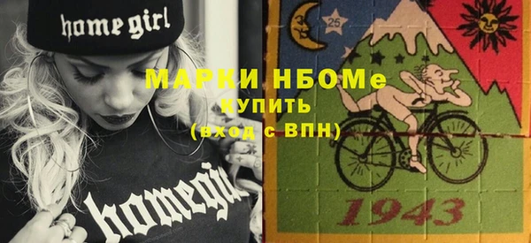 индика Новозыбков