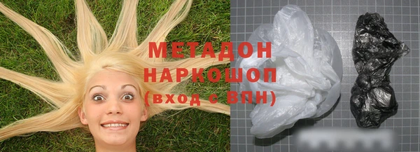 индика Новозыбков