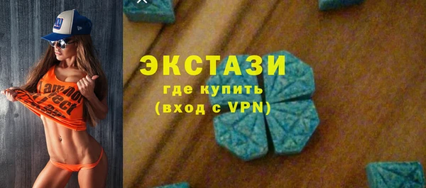 индика Новозыбков