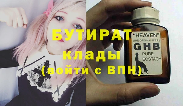 индика Новозыбков