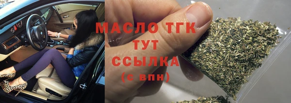 индика Новозыбков