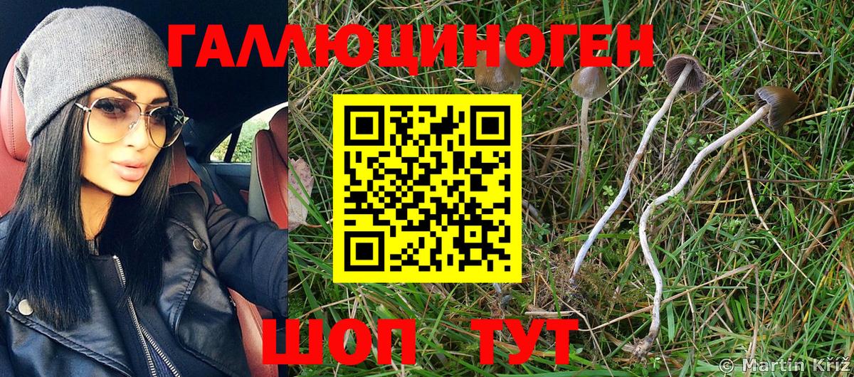 Россошь  Галлюциногенные грибы MAGIC MUSHROOMS  Вход с VPN  Галлюциногенные грибы Psilocybe 
