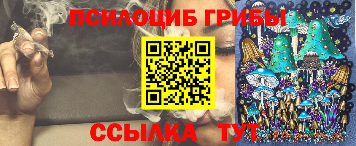Псилоцибиновые грибы Psilocybine cubensis Россошь