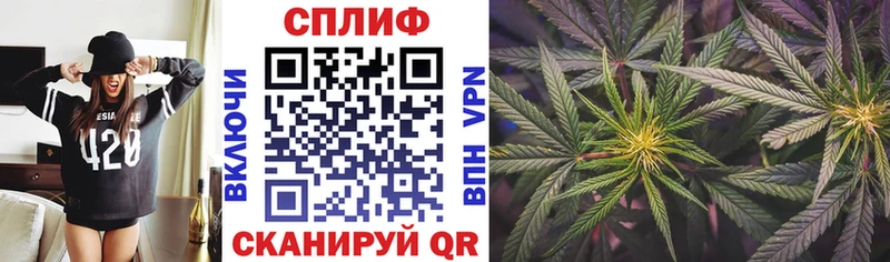 закладки  гидра зеркало  мориарти наркотические препараты  Россошь  Бошки марихуана сатива 